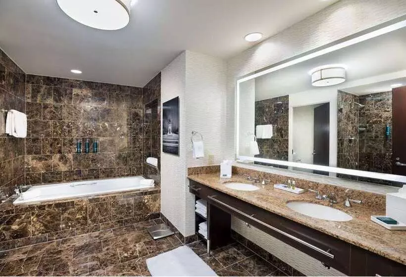 فندق Hilton Americashouston