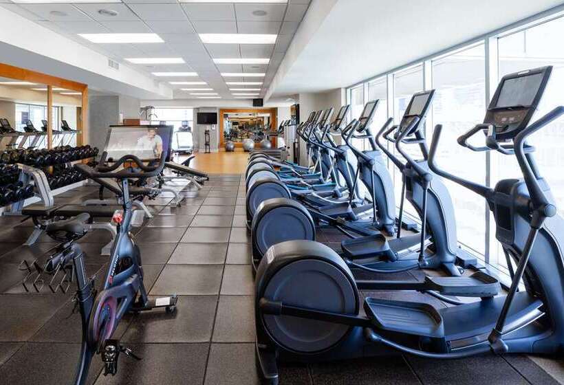 فندق Hilton Americashouston