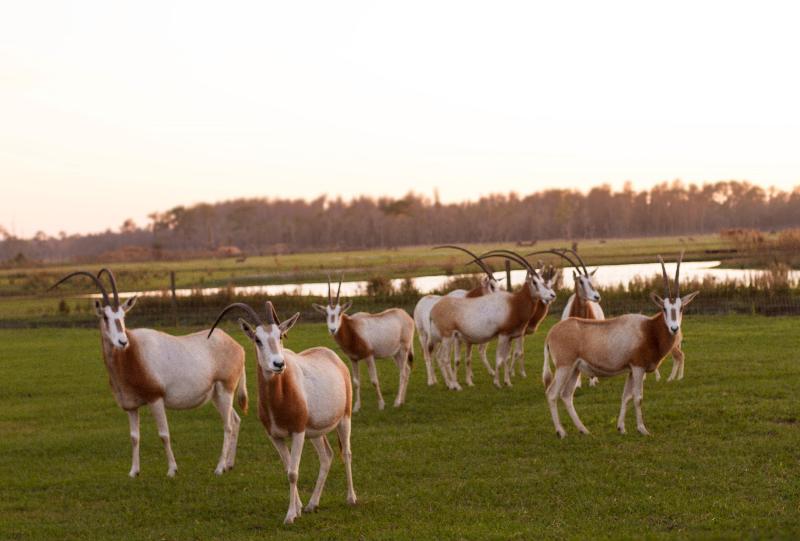 בית מלון כפרי Holiday Inn Express & Suites Lakeland South By Ihg