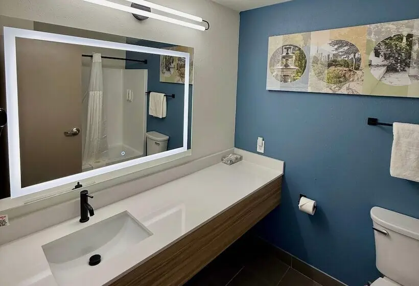 ホテル Howard Johnson By Wyndham Airport