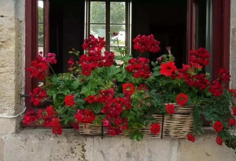 ホテル Manoir De La Rivière