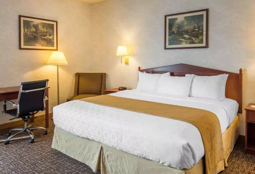 ホテル Quality Inn & Suites Of Liberty Lake