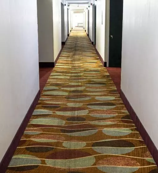 בית מלון כפרי Select Inn Murfreesboro