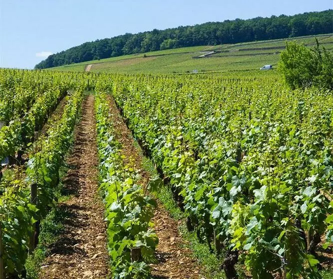 Les Paulands Chateaux & Hotels De France