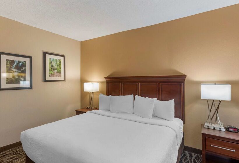 Best Western Plus Russellville Hotel & Suites