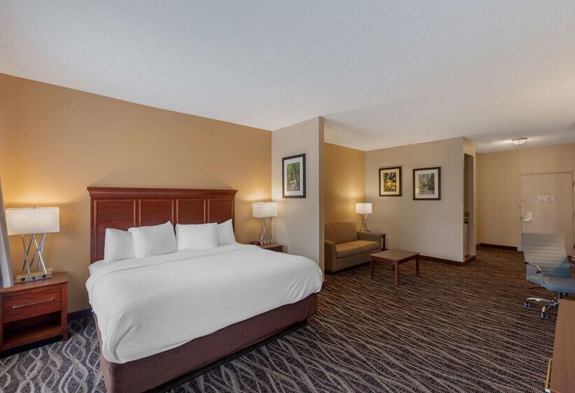 Best Western Plus Russellville Hotel & Suites