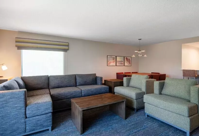 בית מלון כפרי Hampton Inn Boca Raton Deerfield Beach