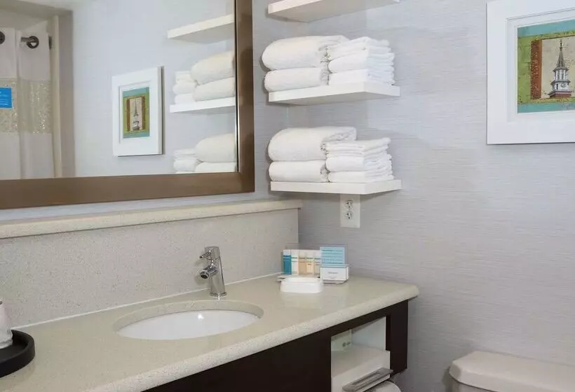 ホテル Hampton Inn Alexandriaold Town/king St. Metro