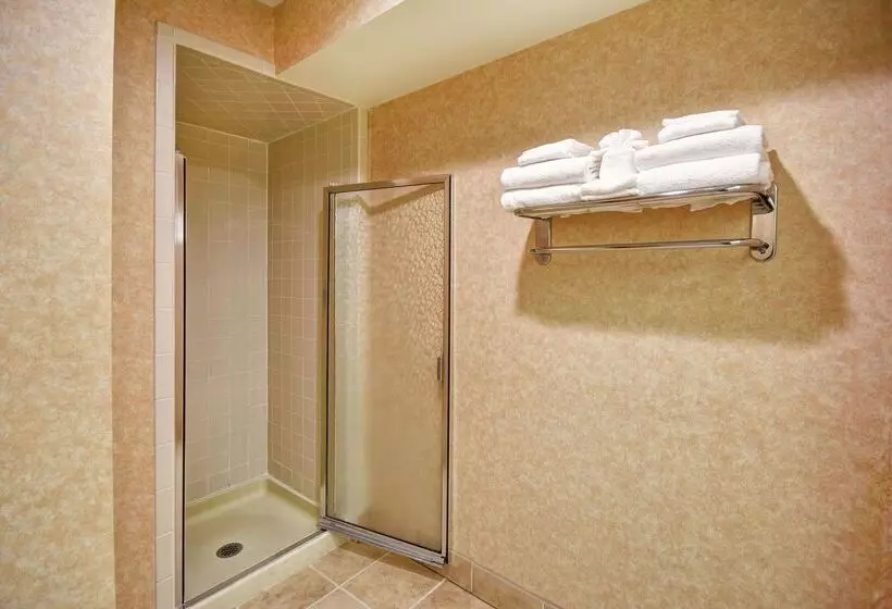 ホテル Hampton Inn Chicopee/springfield