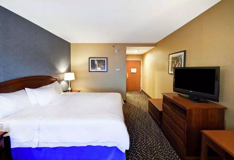 ホテル Hampton Inn Chicopee/springfield