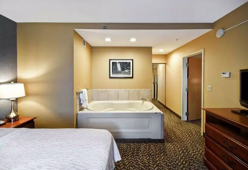 ホテル Hampton Inn Chicopee/springfield