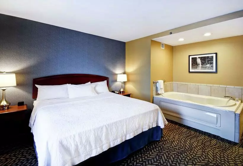 ホテル Hampton Inn Chicopee/springfield