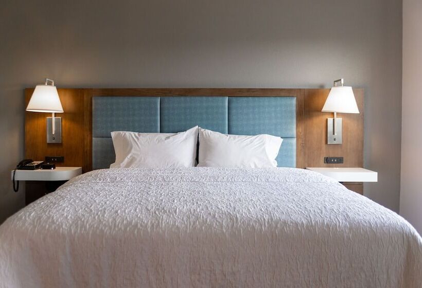 호텔 Hampton Inn Christiansburg/blacksburg