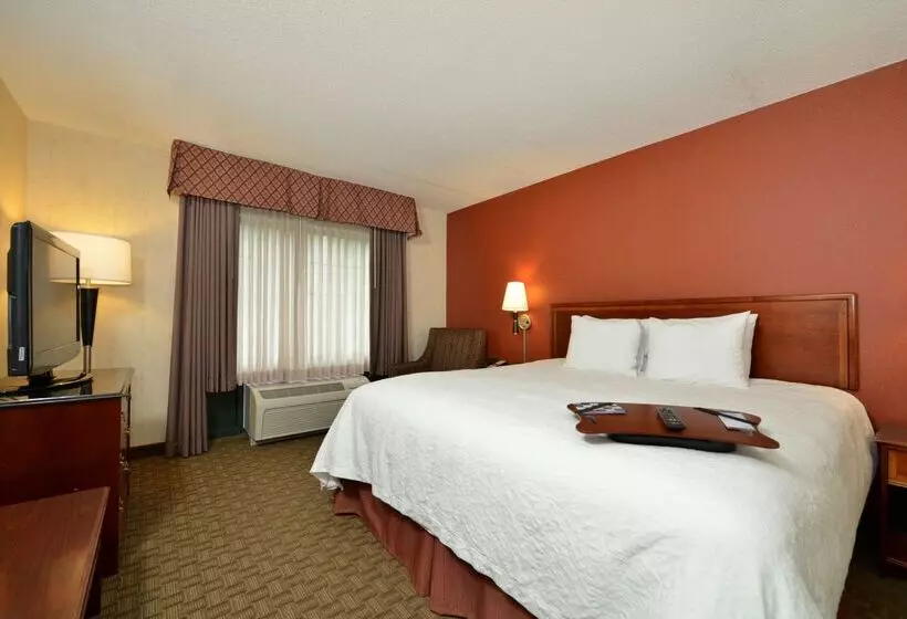 酒店 Hampton Inn East Aurora