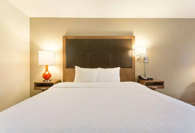 酒店 Hampton Inn Havelock