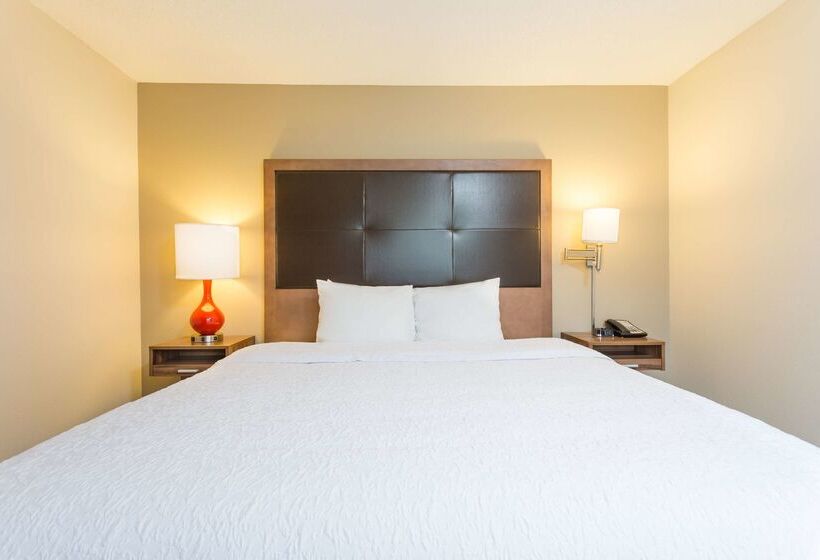 酒店 Hampton Inn Havelock