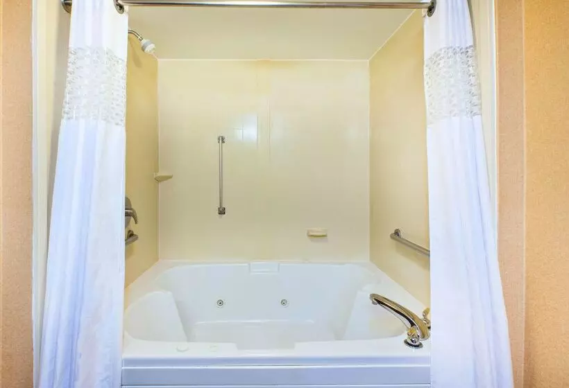 בית מלון כפרי Hampton Inn Marietta