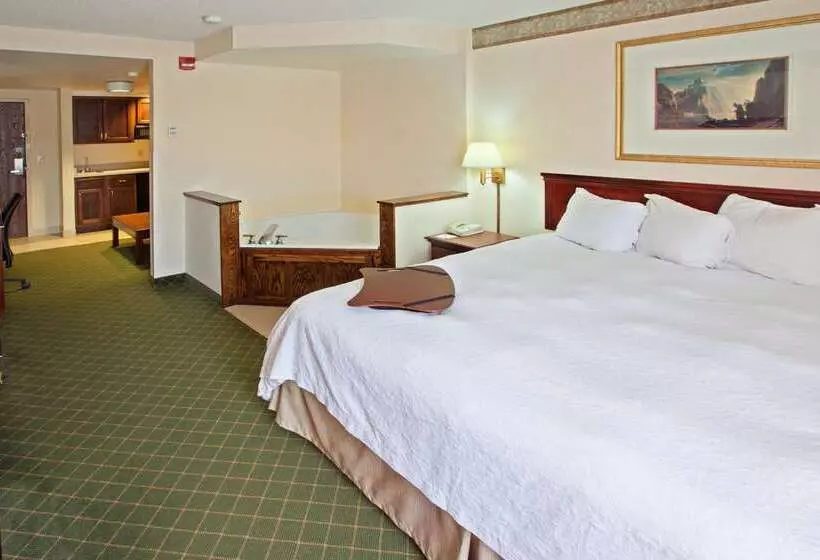 בית מלון כפרי Hampton Inn Marietta