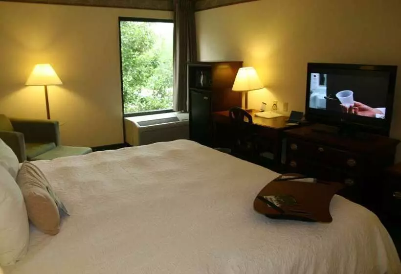 בית מלון כפרי Hampton Inn Marietta