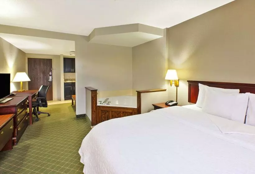 בית מלון כפרי Hampton Inn Marietta