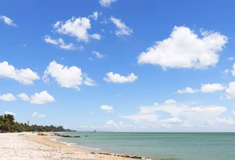 هتل Hampton Inn Naples Central