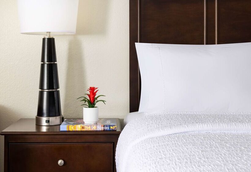 酒店 Hampton Inn Naples Central