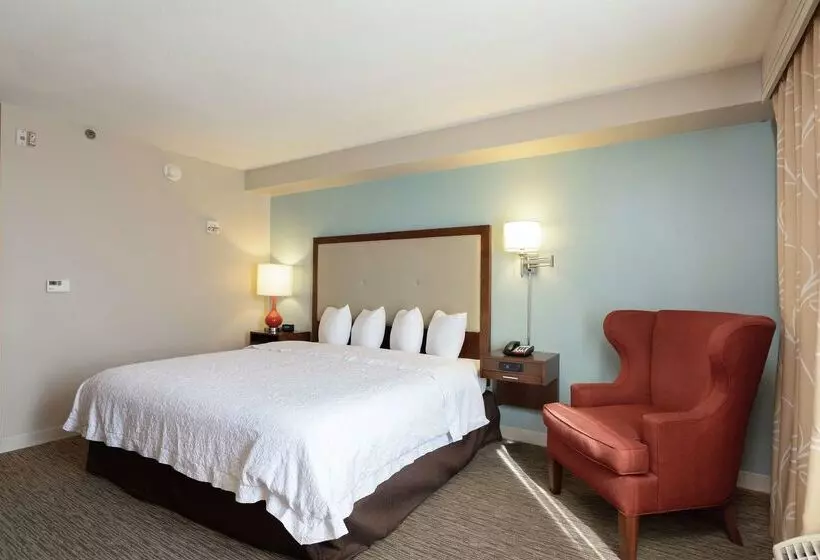 فندق Hampton Inn & Suites Austinairport