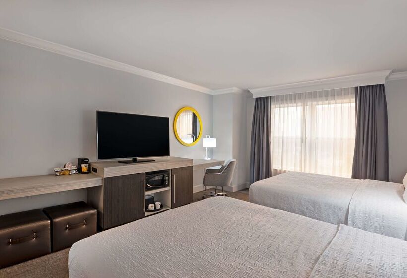 בית מלון כפרי Hampton Inn & Suites Stamford