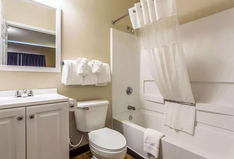 酒店 Suburban Studios Near University Of North Carolinacharlotte