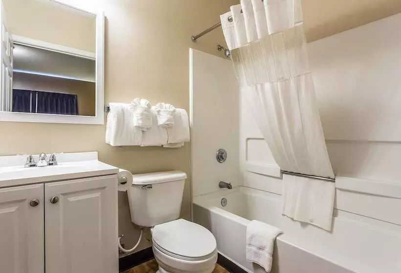 酒店 Suburban Studios Near University Of North Carolinacharlotte