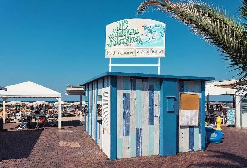 Hotel Waldorf Palace