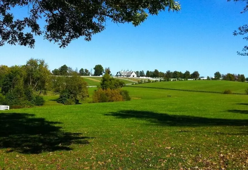 Lyndon House Bed & Breakfast