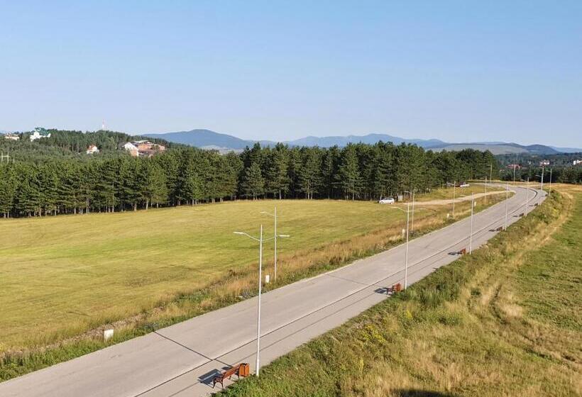 Zlatibor Hills President