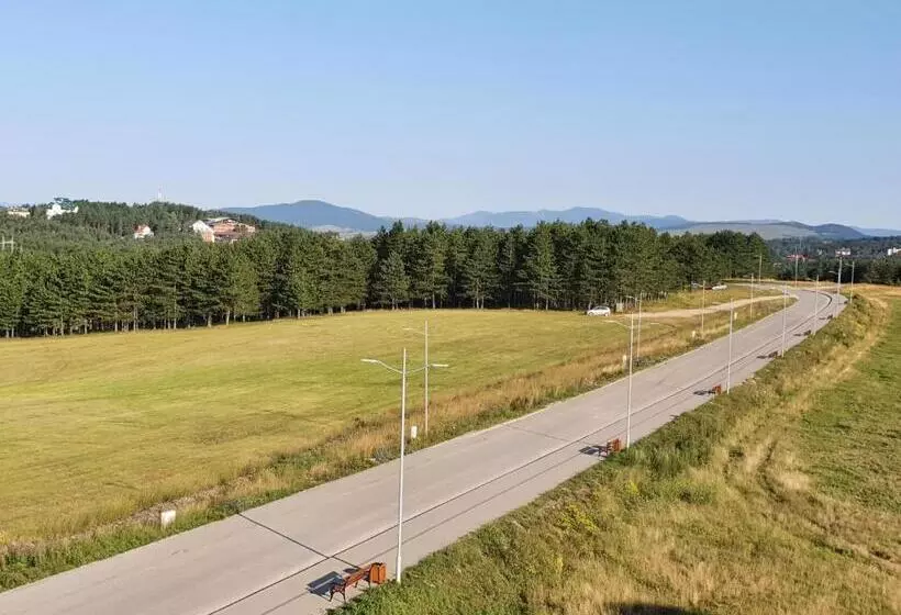 Zlatibor Hills President