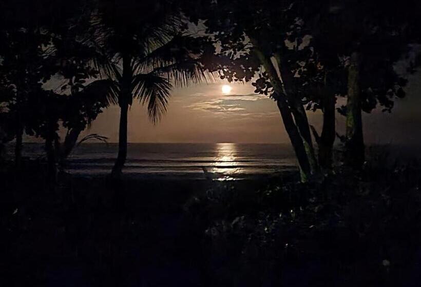 هتل Cabinas El Muellecito