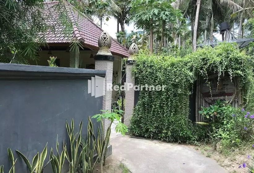 Bed and Breakfast Visual Inn