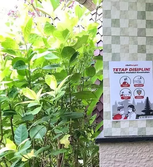 Bed and Breakfast Visual Inn