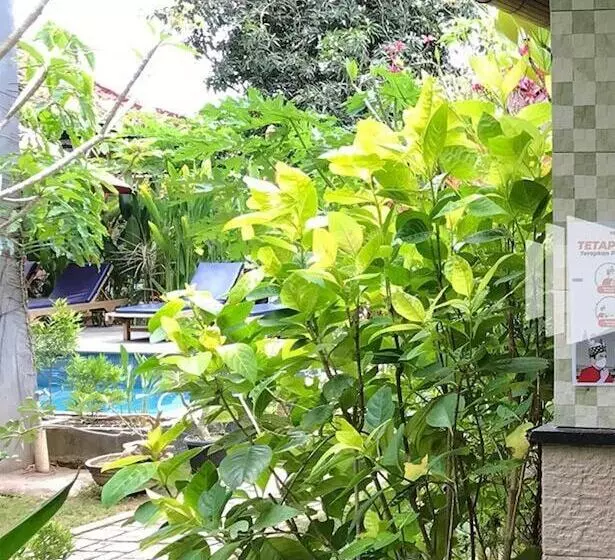 Bed and Breakfast Visual Inn