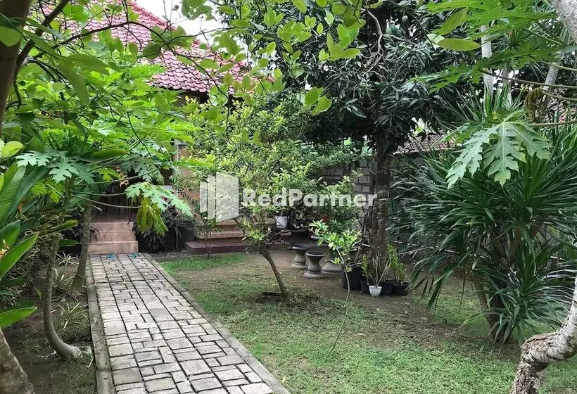 Bed and Breakfast Visual Inn