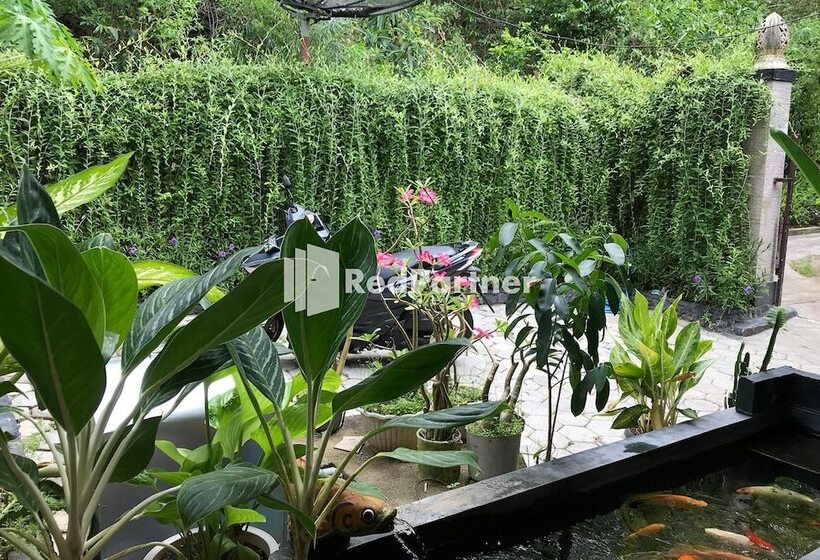 ベッドアンドブレックファースト Visual Inn