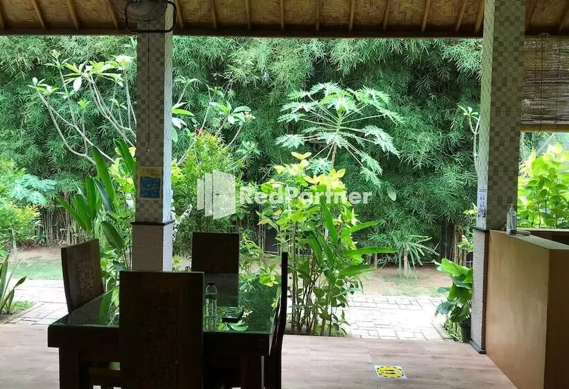 Bed and Breakfast Visual Inn