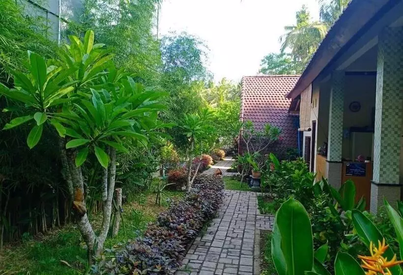 Bed and Breakfast Visual Inn