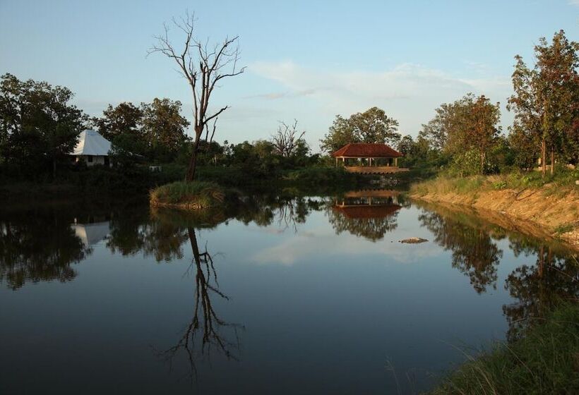 Отель Tuli Tiger Corridor