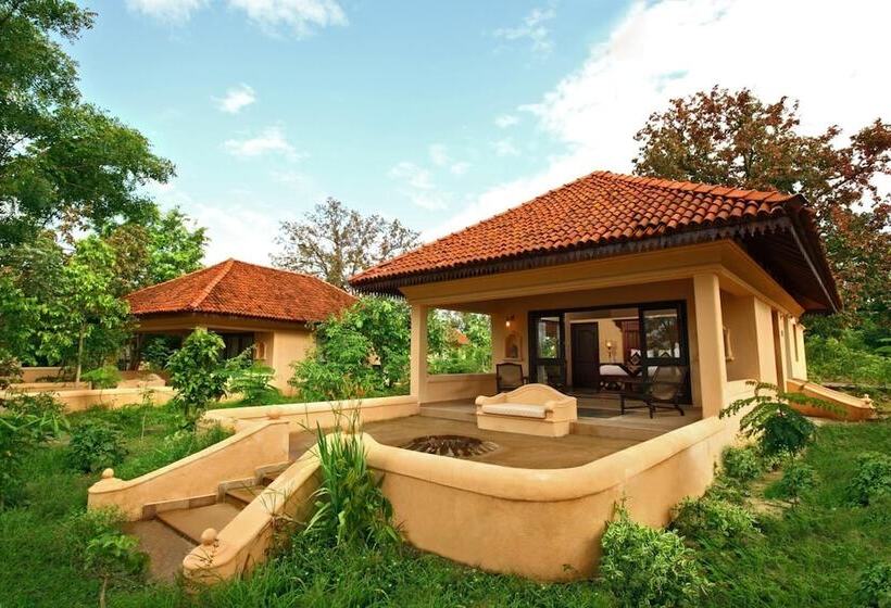 Отель Tuli Tiger Corridor