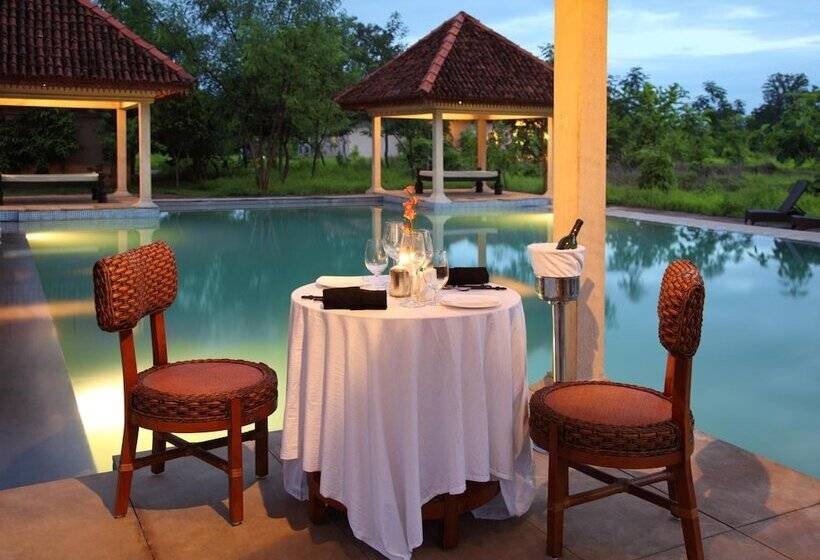 Отель Tuli Tiger Corridor