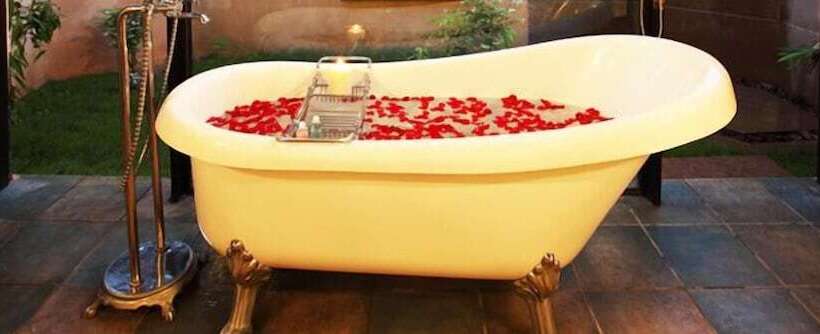 Отель Tuli Tiger Corridor