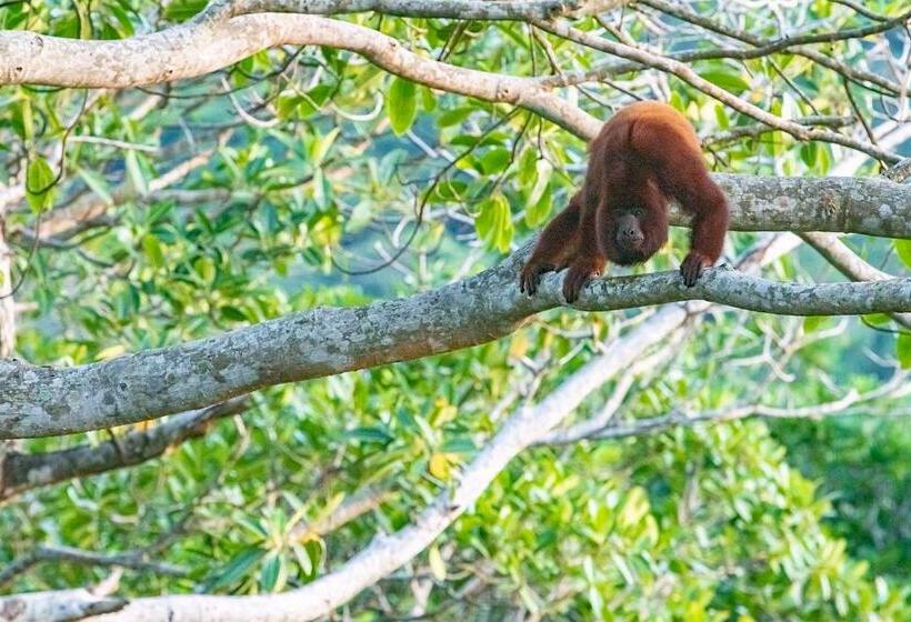 هتل Villa Yira Eco