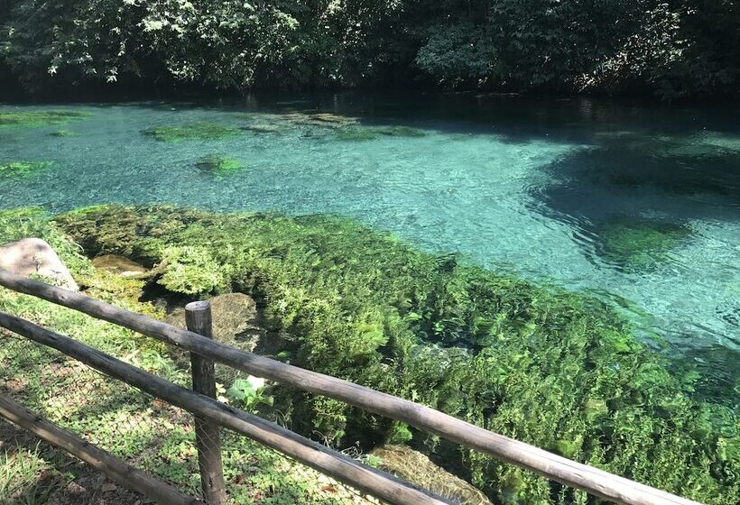 Original Trips Hotel Turismo