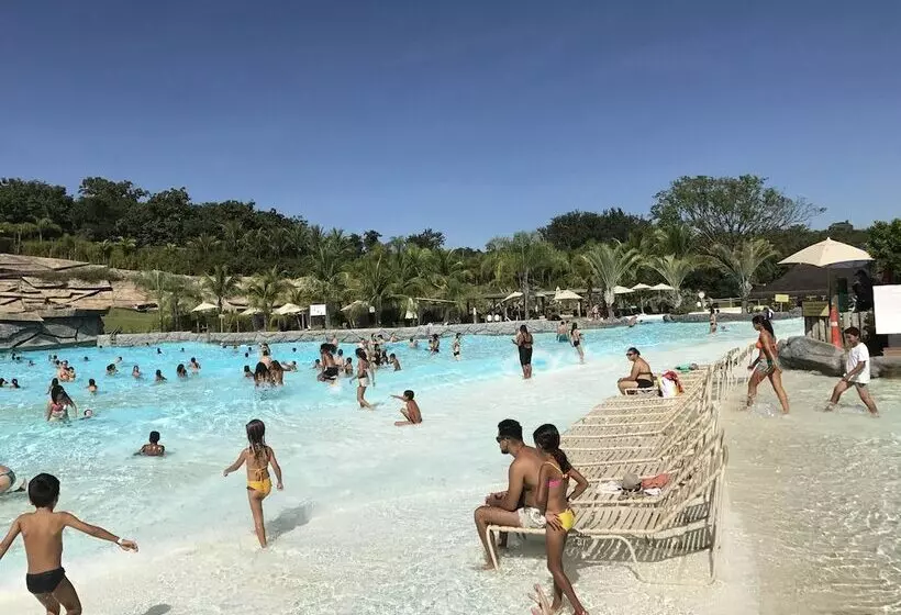 Original Trips   Hotel Turismo