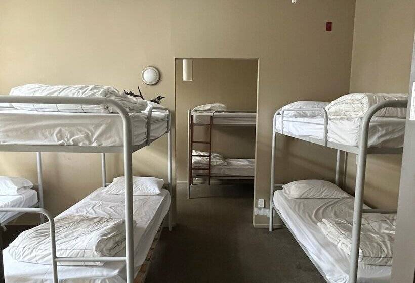 فندق صغير Uptown Backpackers